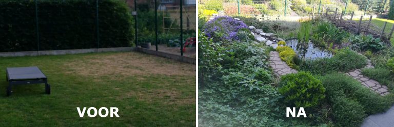 gazon problemen vervangen door sierplanten vijver schaduwzone tuin
