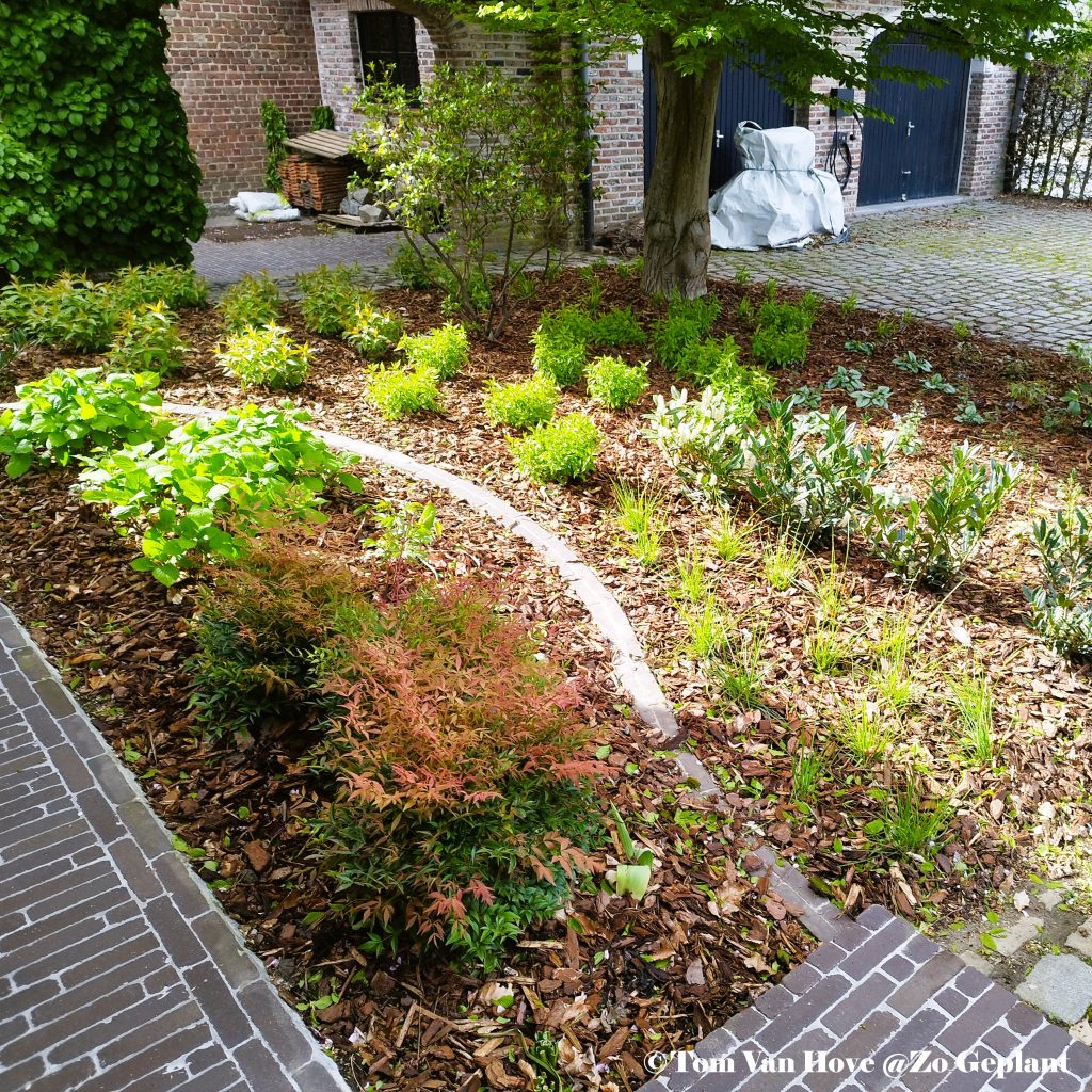 voortuin gevarieerde sierbeplanting